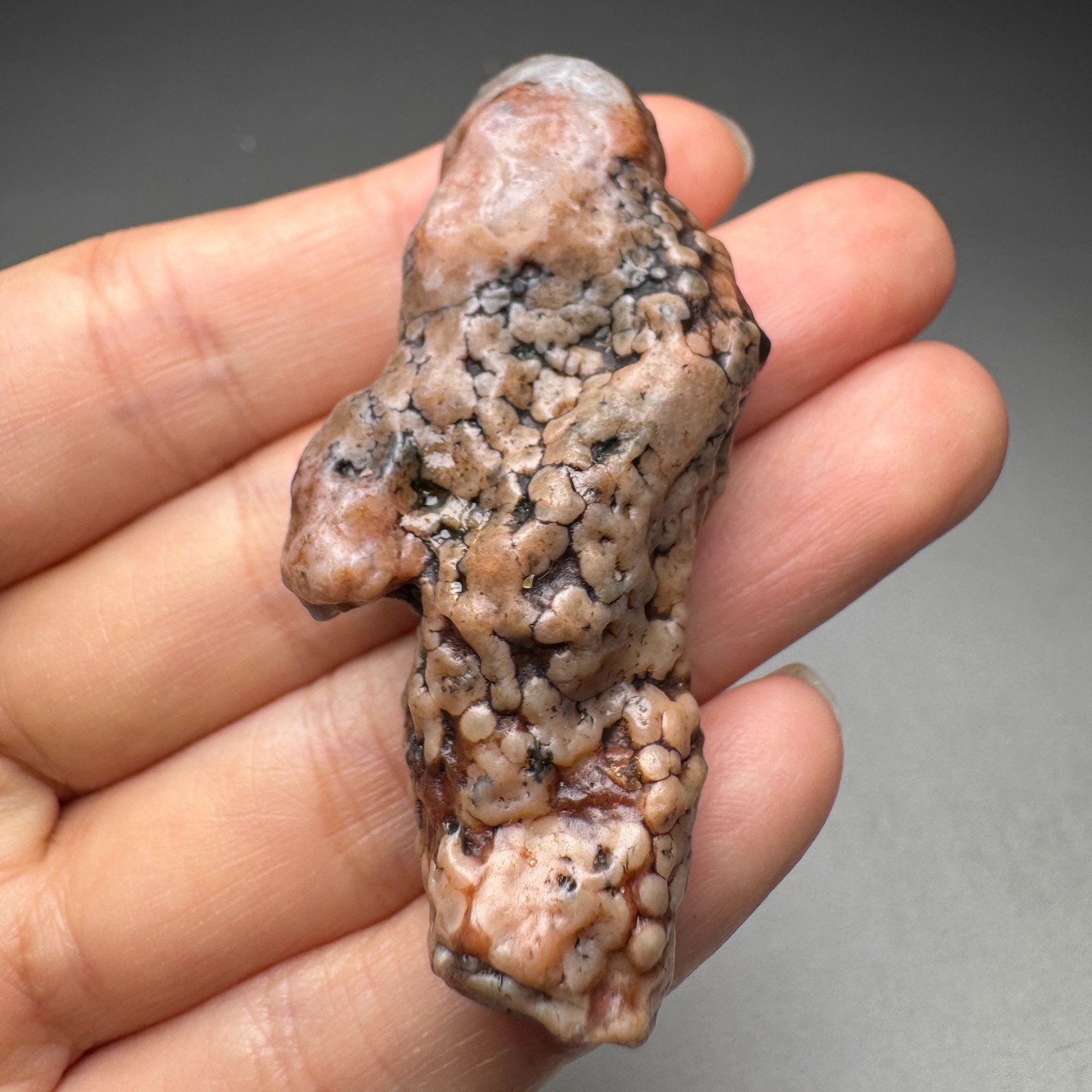 5.6cm/25G Raw & Natural Alxa Gobi Raised Fish Roe Vein Agate,Inner Mongolia#6556