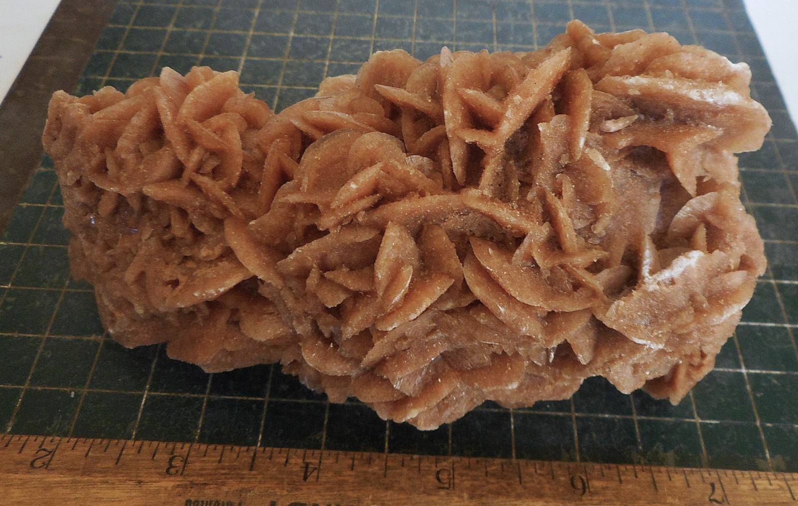 Desert Rose Selenite. Natural. Gypsum. Morocco 6.0″ (15.2cm). 1.33 Lb