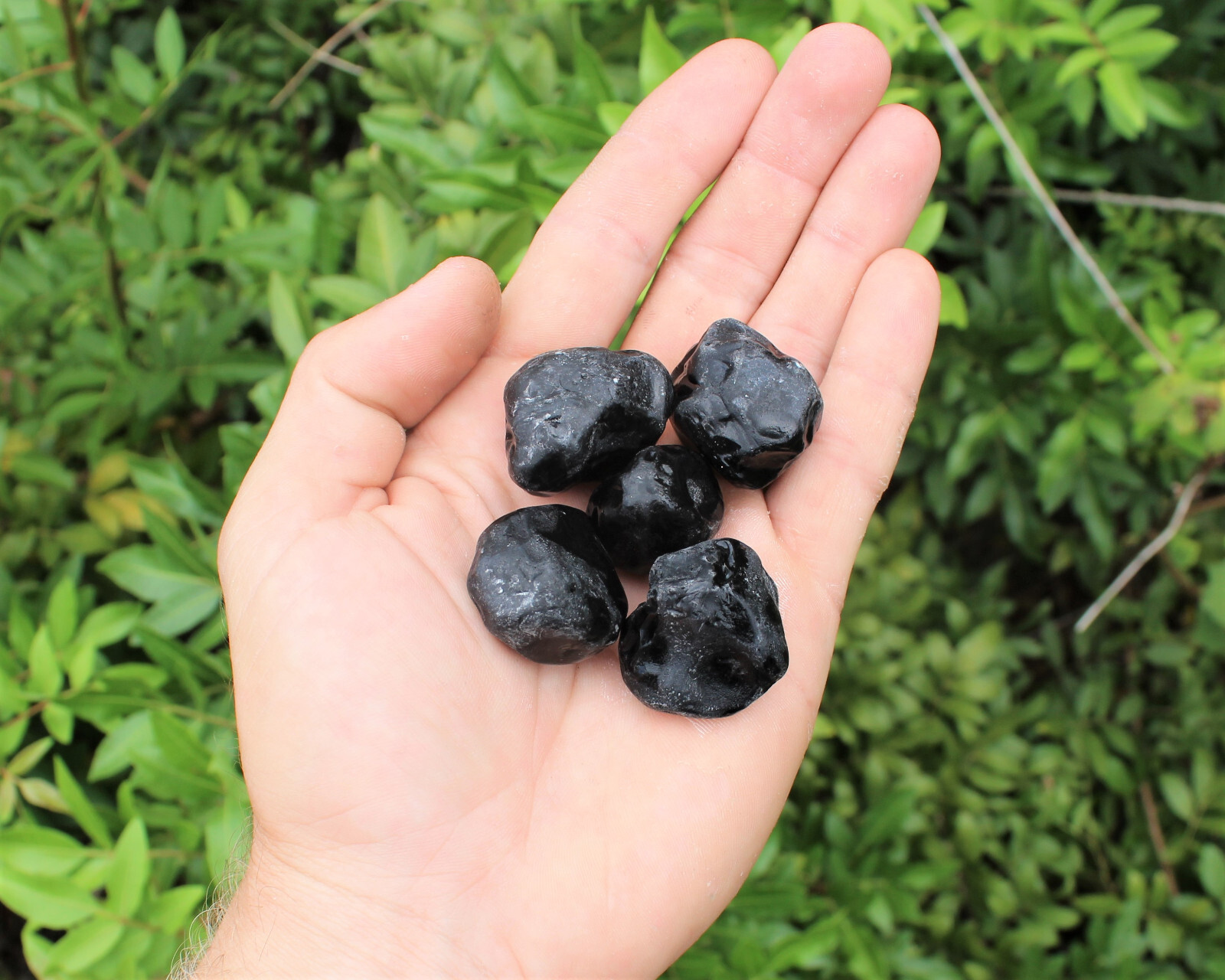 Rough Apache Tears Natural Stones – 5 Piece Lot