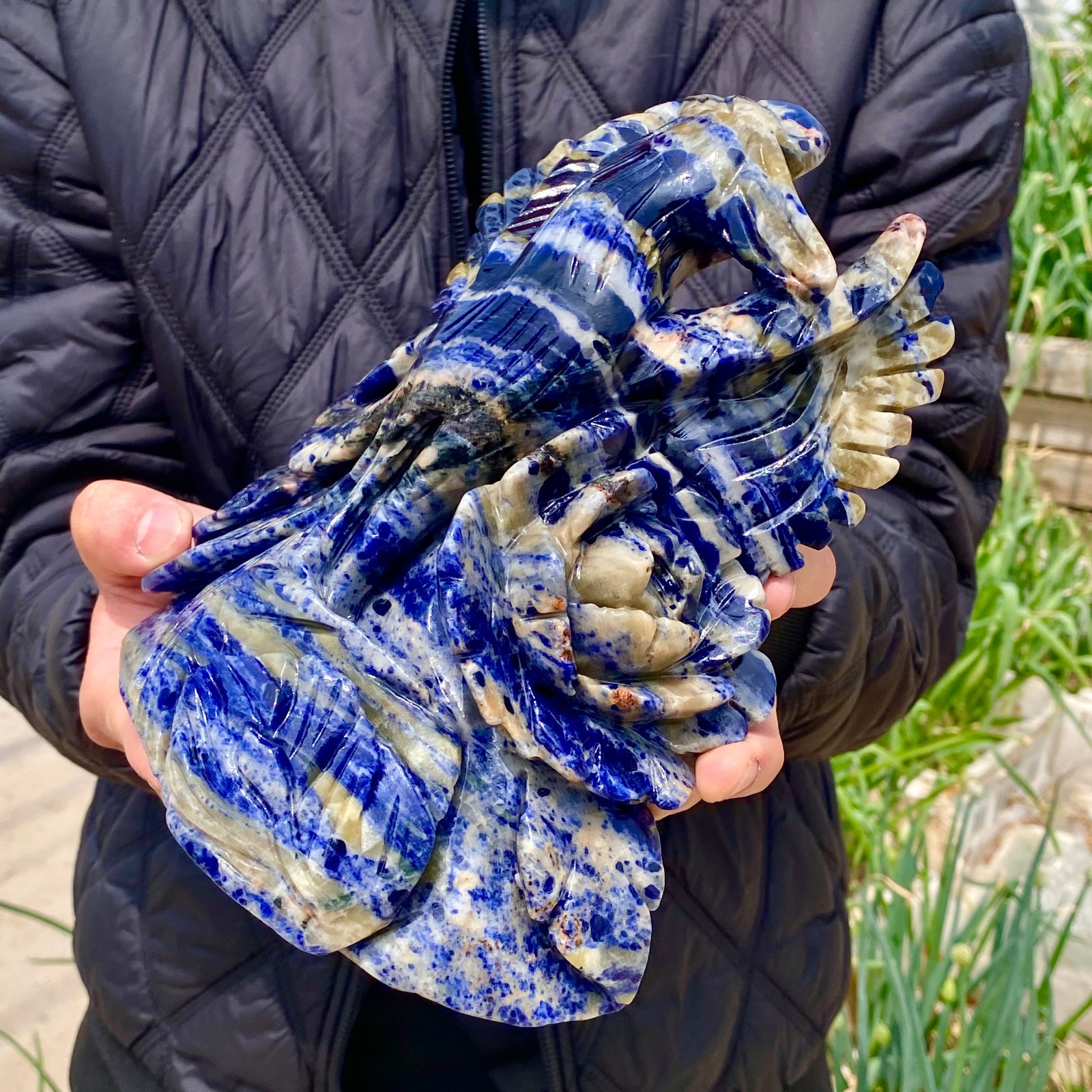 6.6LB Natural Blue Lace Agate Hand Carved Phoenix Figurine Gemstone Decor