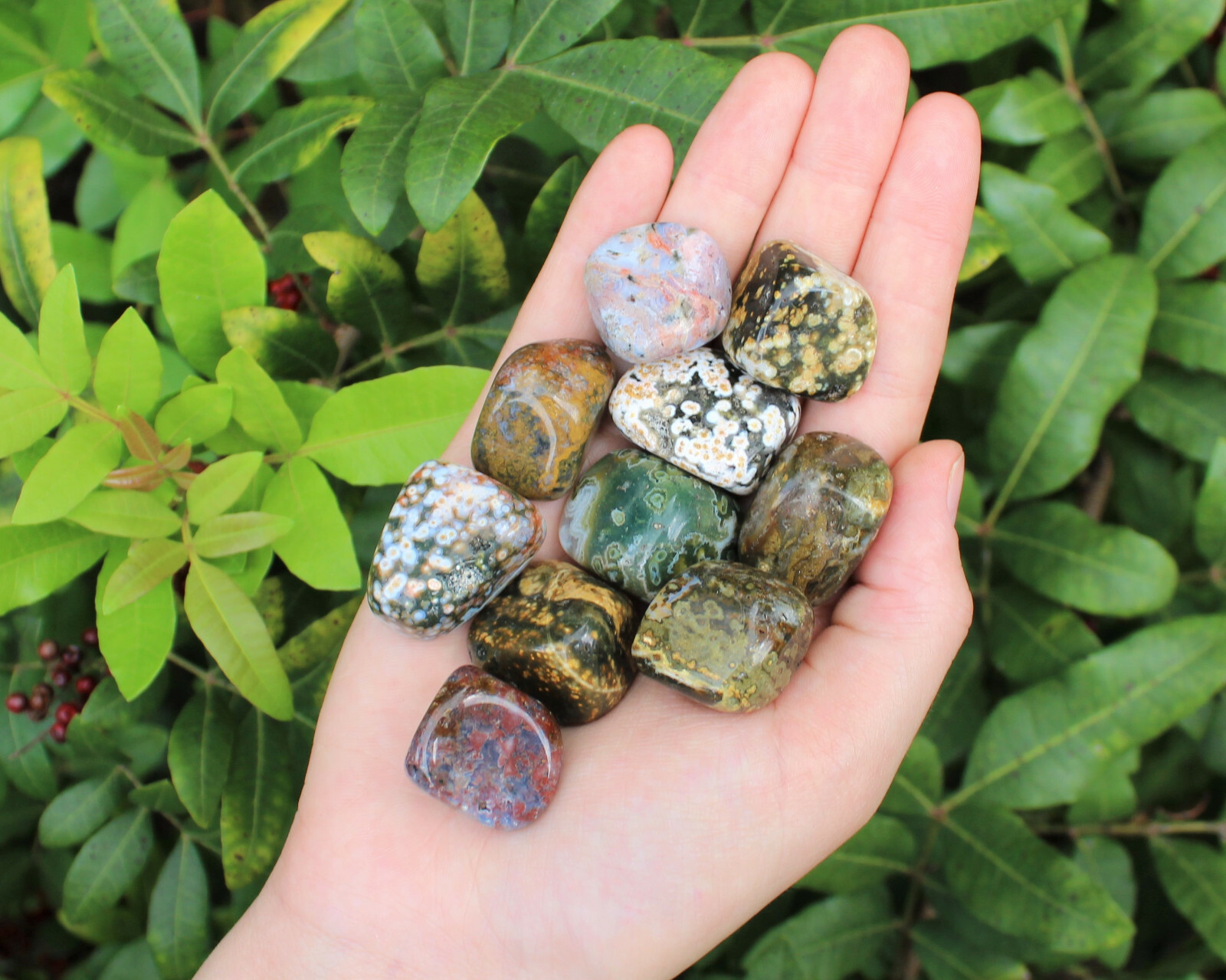 Sea Jasper Tumbled Stones: 10 Piece Lot (Crystal Healing)