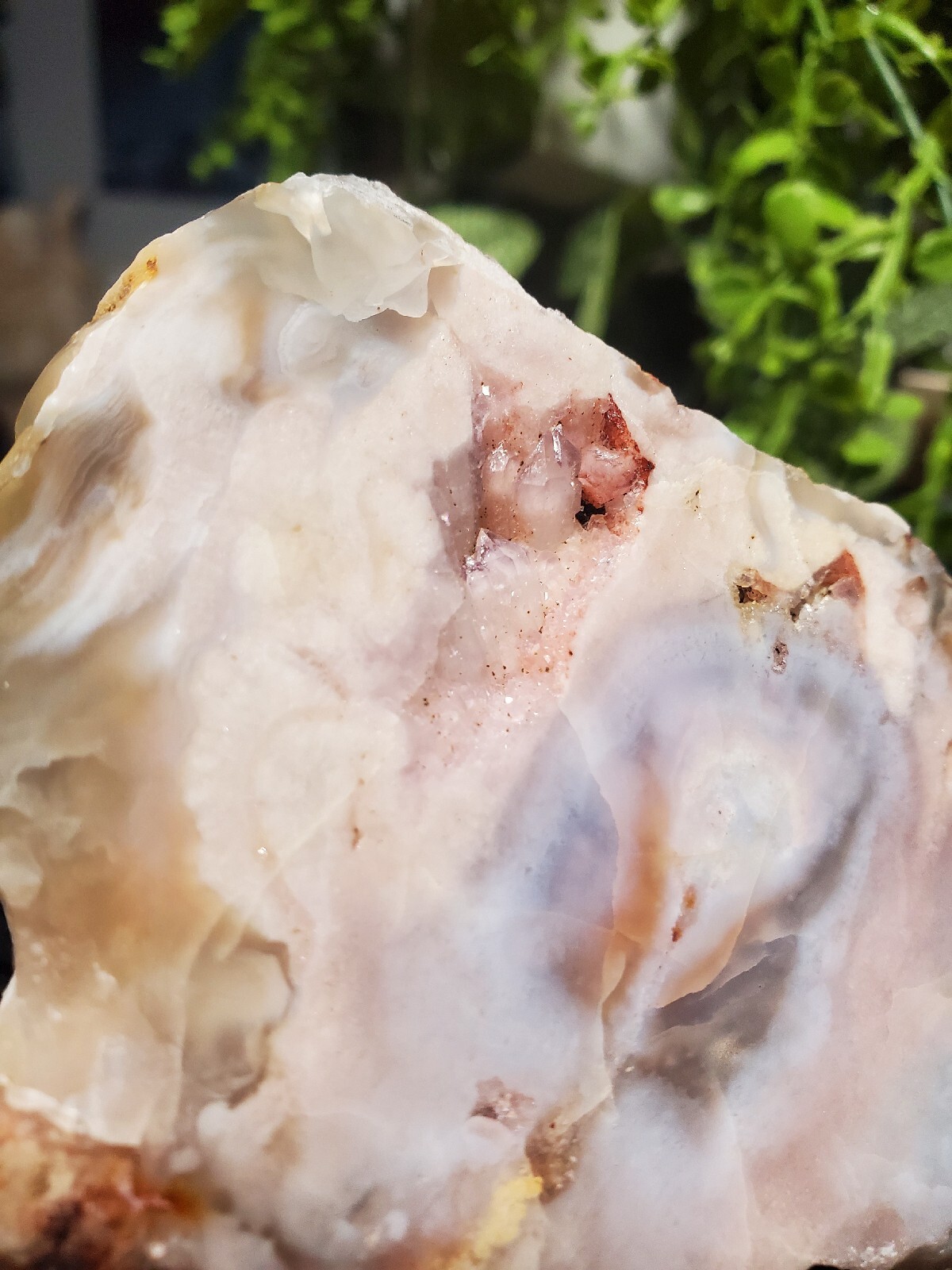 124g Beautiful Flower Agate Slice Slab Crystal Quartz Energy Healing Crystal
