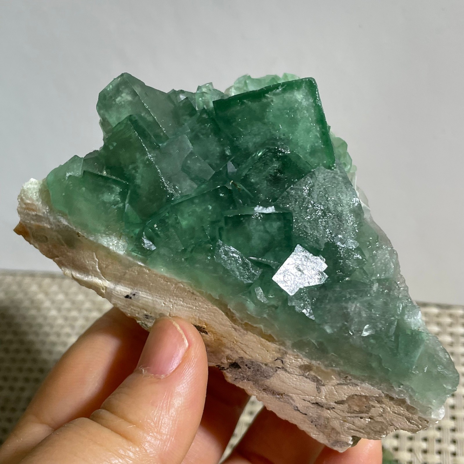 235g NATURAL Green FLUORITE Quartz Crystal Cluster Mineral Specimen