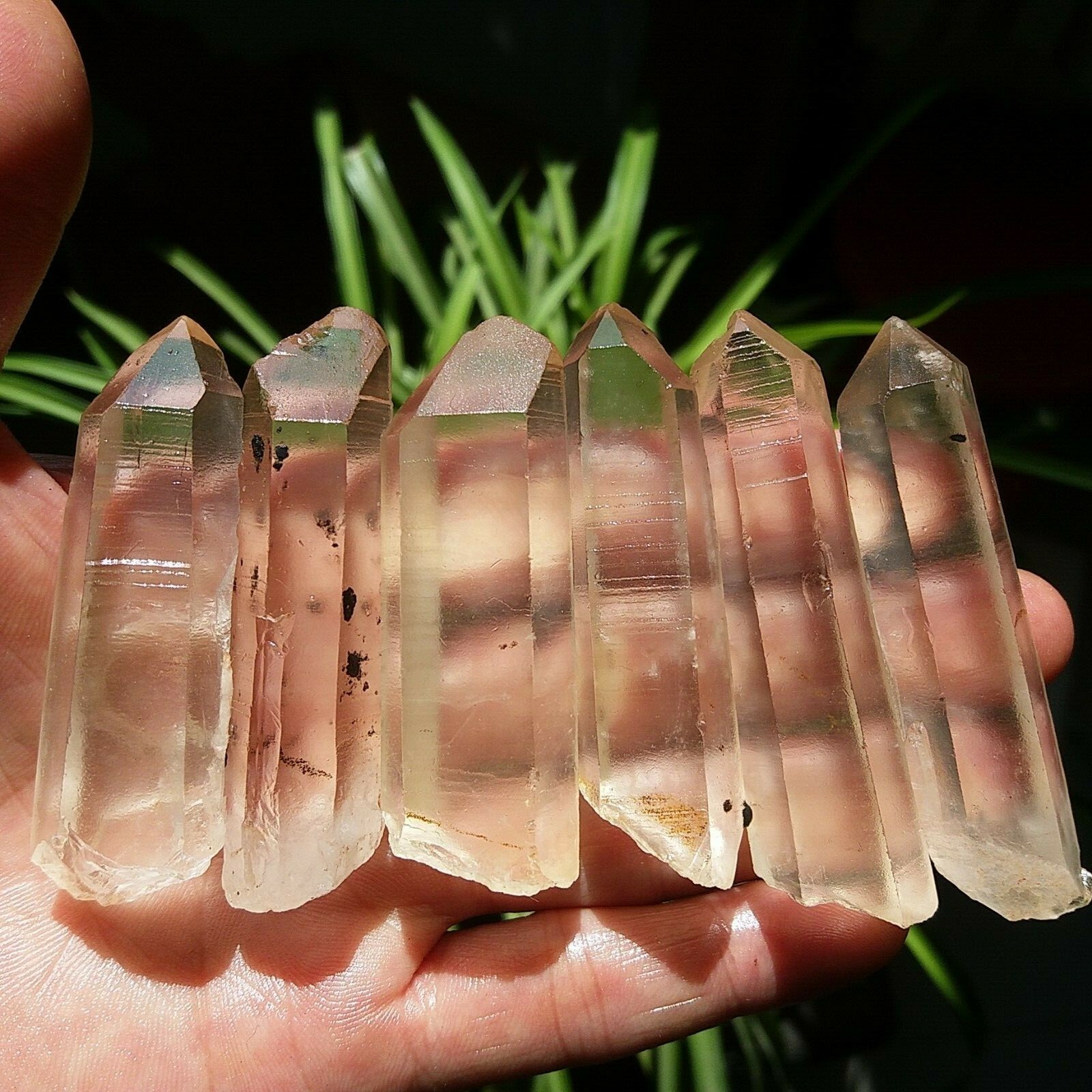 188g 6pcs Natural Crystal Quartz Single Point wand Rough Original Specimens D43