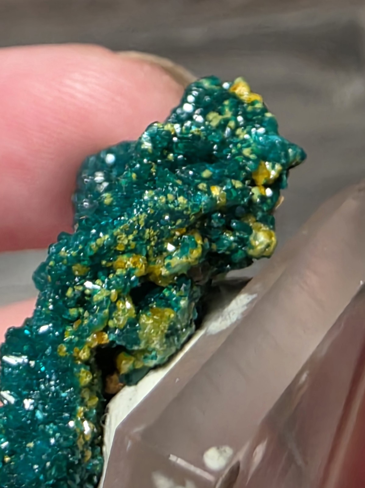 DIOPTASE w/ Wulfinite Crystal Mineral Specimen Cluster Green CONGO AFRICA 4.5 cm