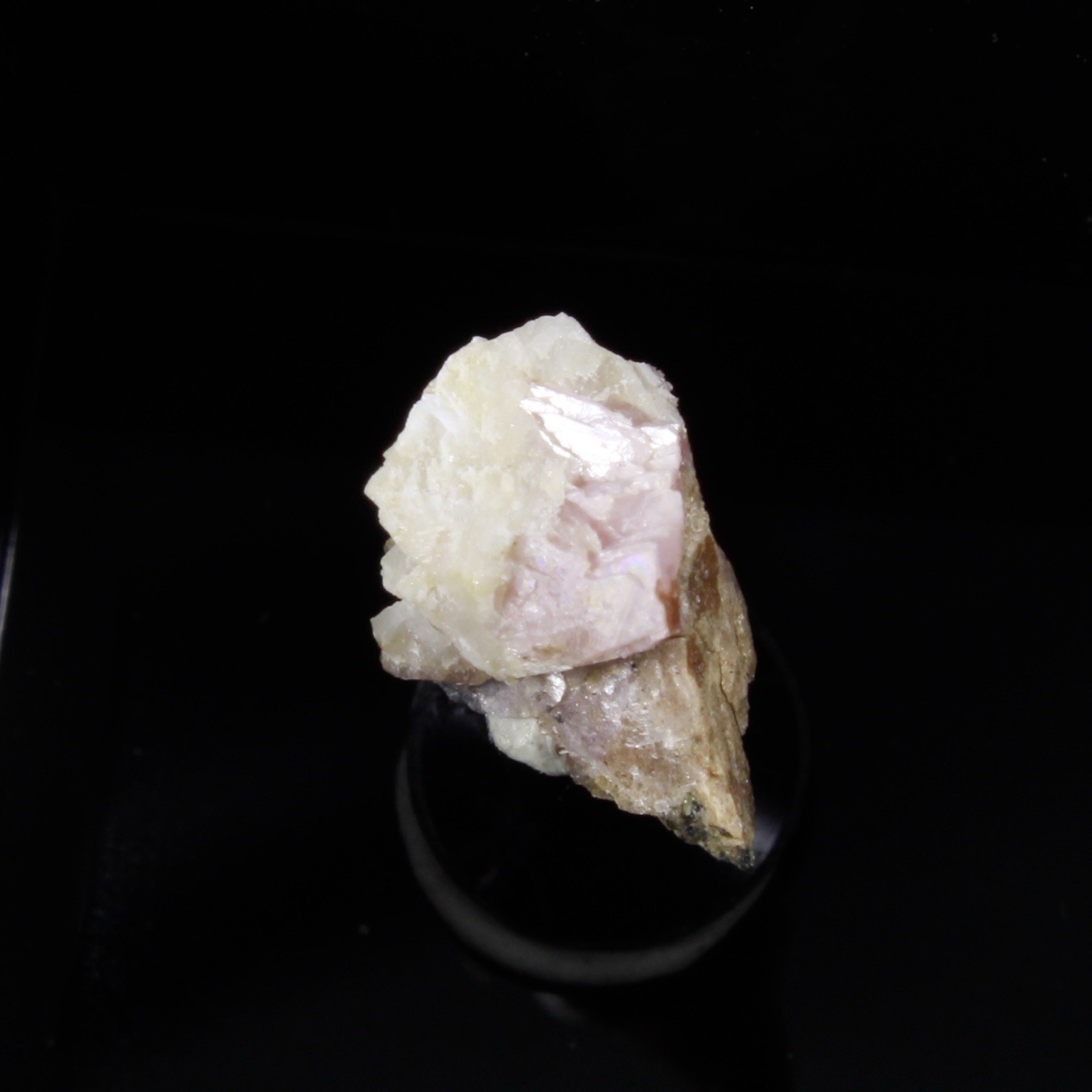 Classic United States Material! INESITE – Hale Creek, CA (Micro)