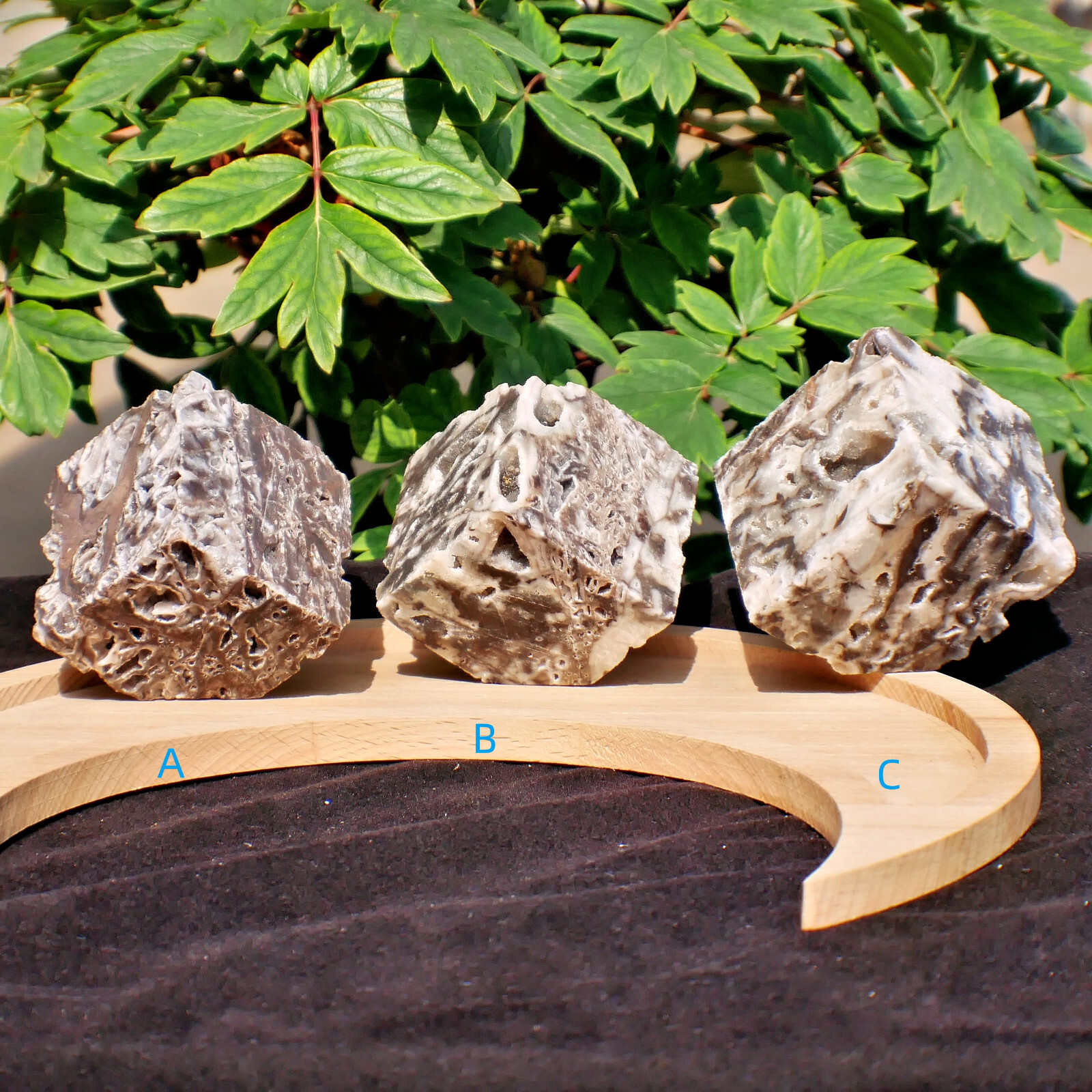 2″ Sphalerite Druzy Geode Cube Crystal Healing Gemstone Natural Mineral Specimen