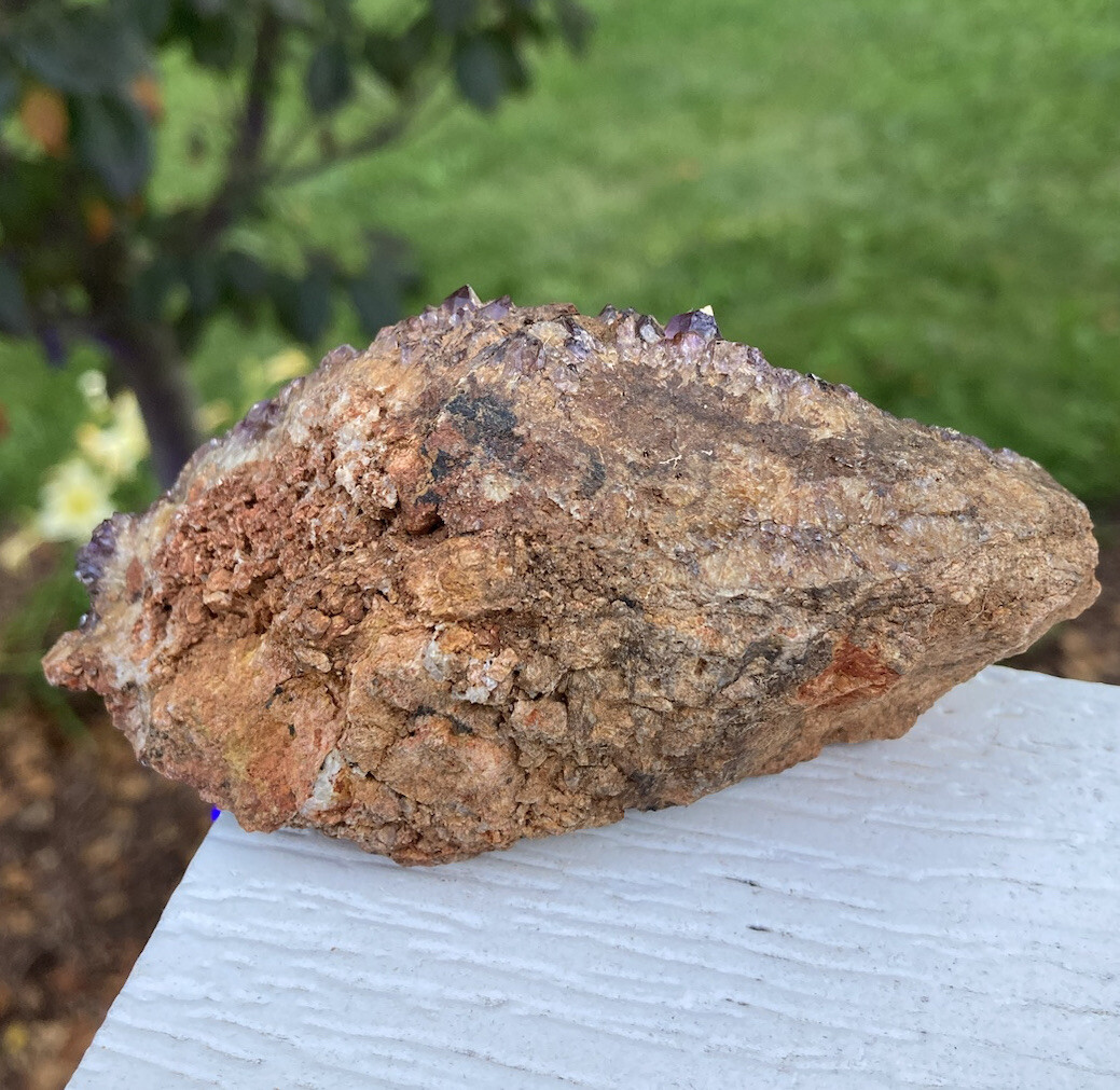 161g XTRA DARK PURPLE AMETHYST SPIRIT QUARTZ Fairy Cactus Crystal Cluster 4″