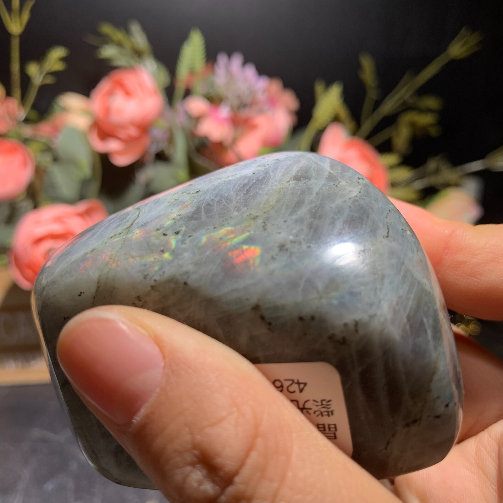 290g Natural Purple Labradorite Free Form Ornament Crystal Quartz Reiki 62mm