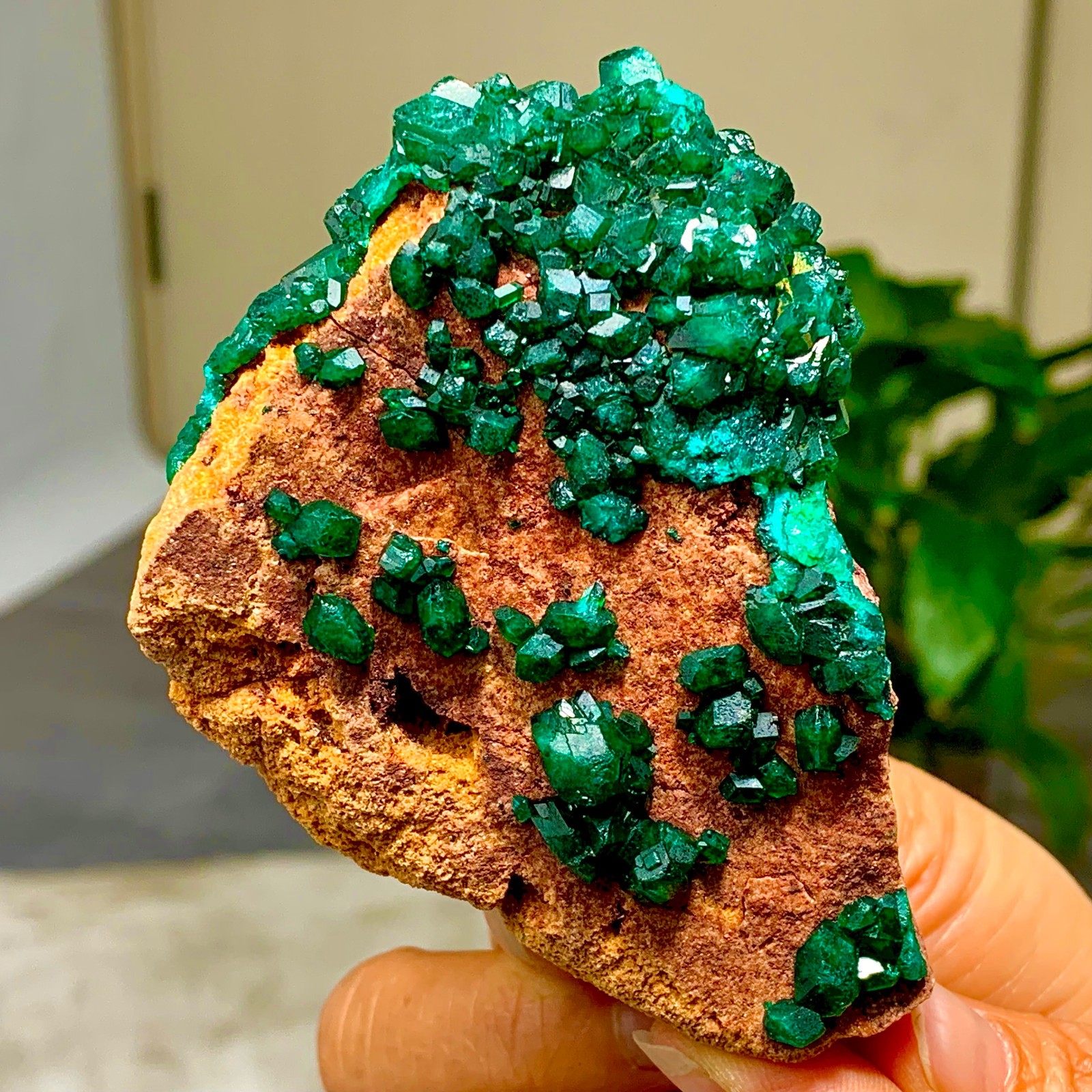 205G Natural Deep Green Grainy dioptase gemstone cluster mineral specimen
