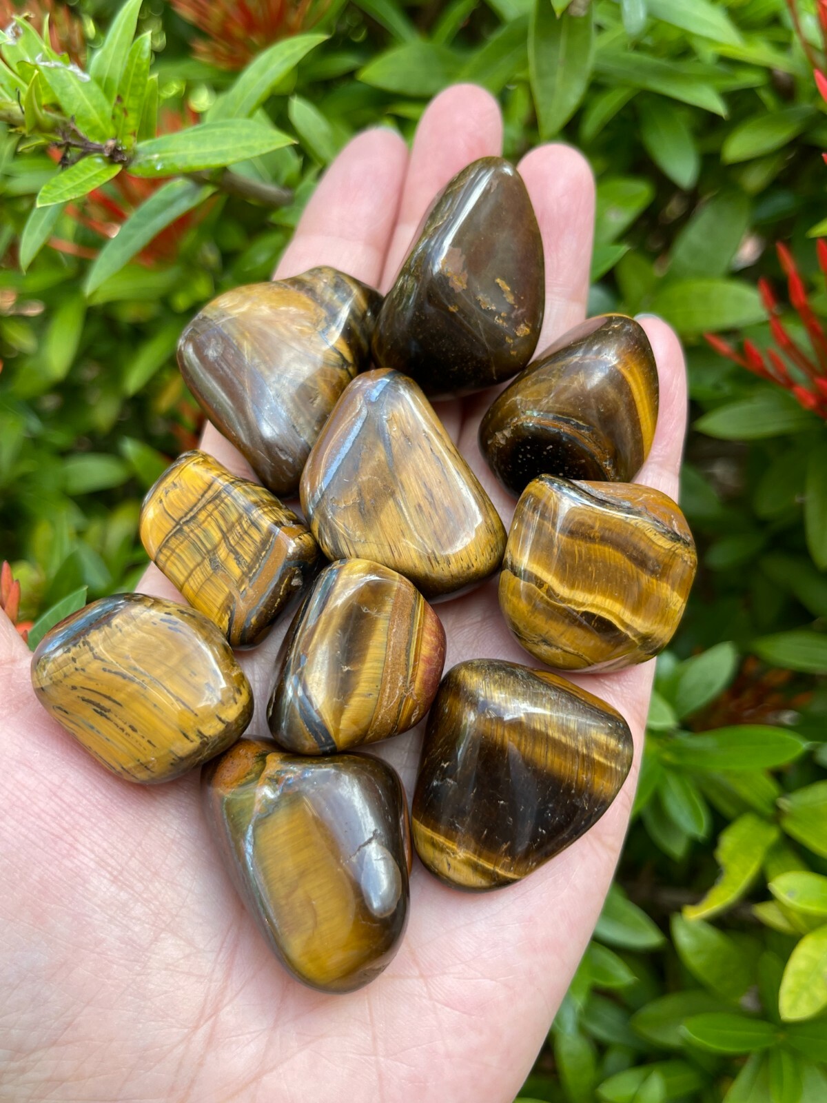 Grade A++ Gold Tiger Eye Tumbled Stones, 0.85″-1.5″ Tumbled Tiger Eye, Bulk Lot