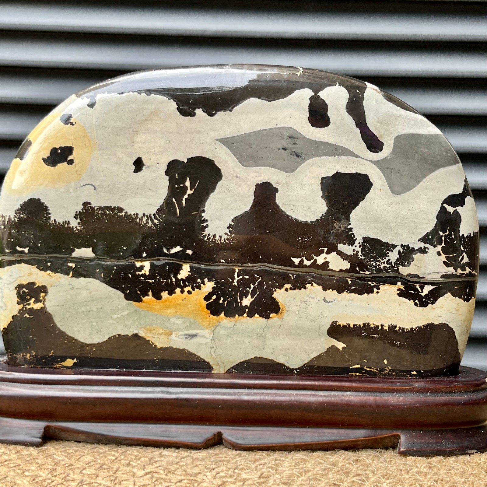 2.5 lb Scenic Stone Natural Pattern Polished Display Art Wood Base