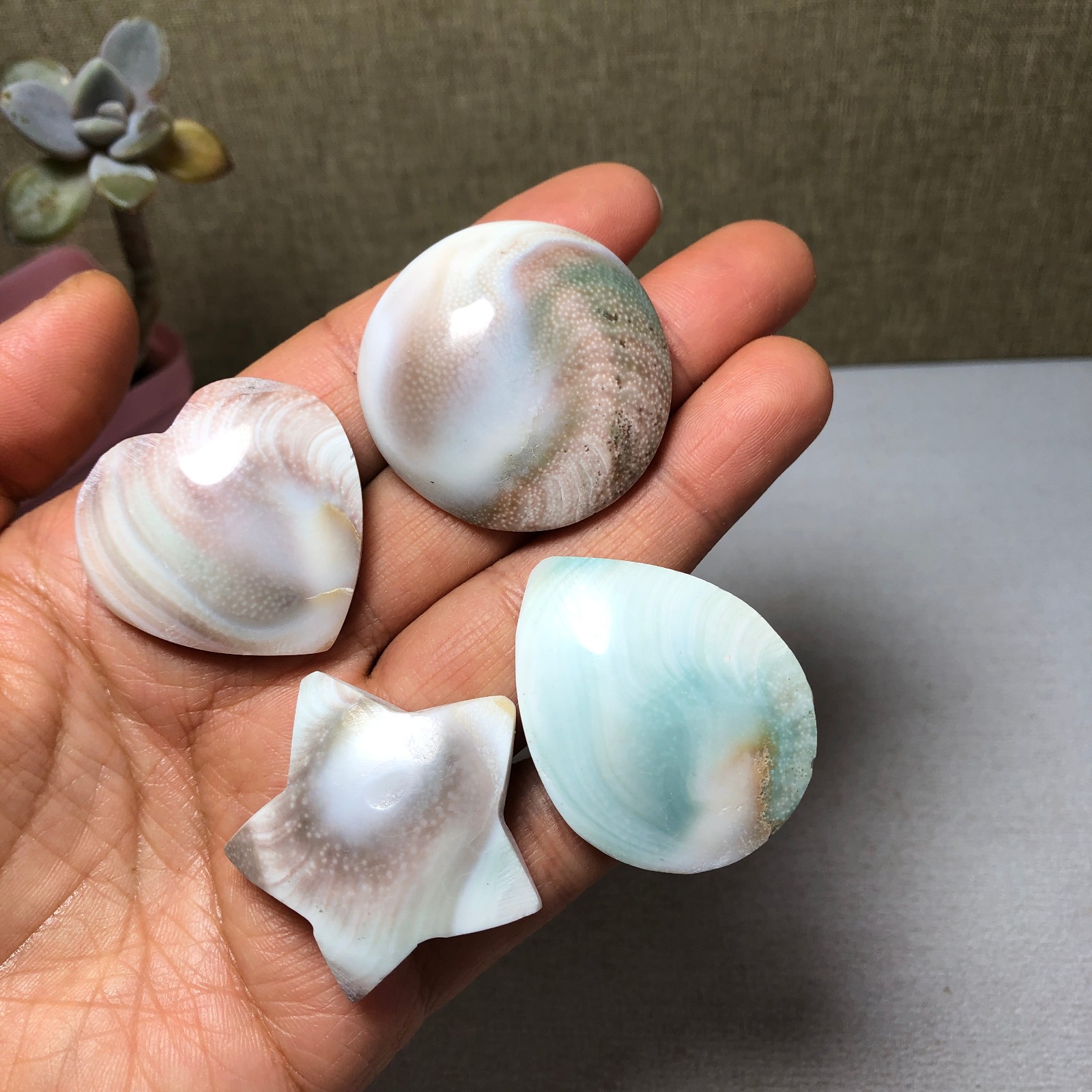 4pcs Rare sun shell Reiki Shiva Eye ocean semi-precious stone 75g A2758