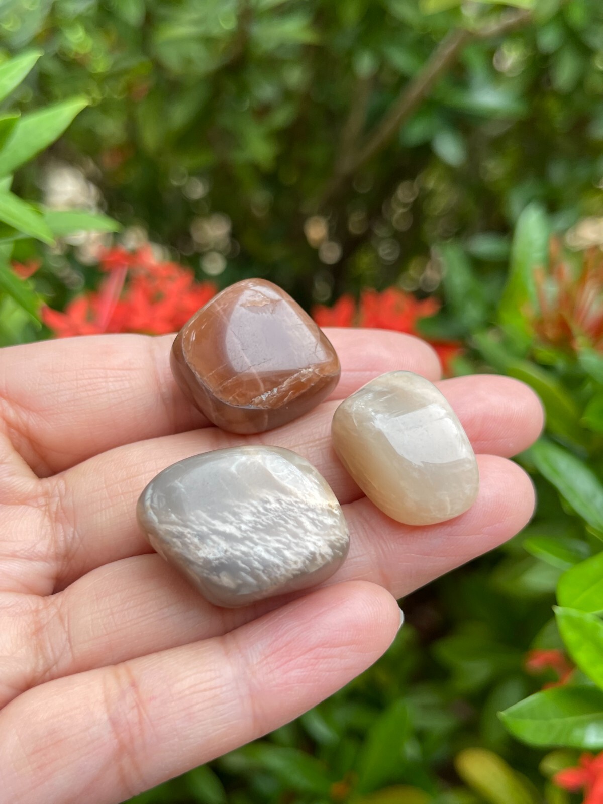 Grade A++ Moonstone Multi Tumbled Stone,0.5-1.25″ Tumbled Multicolored Moonstone