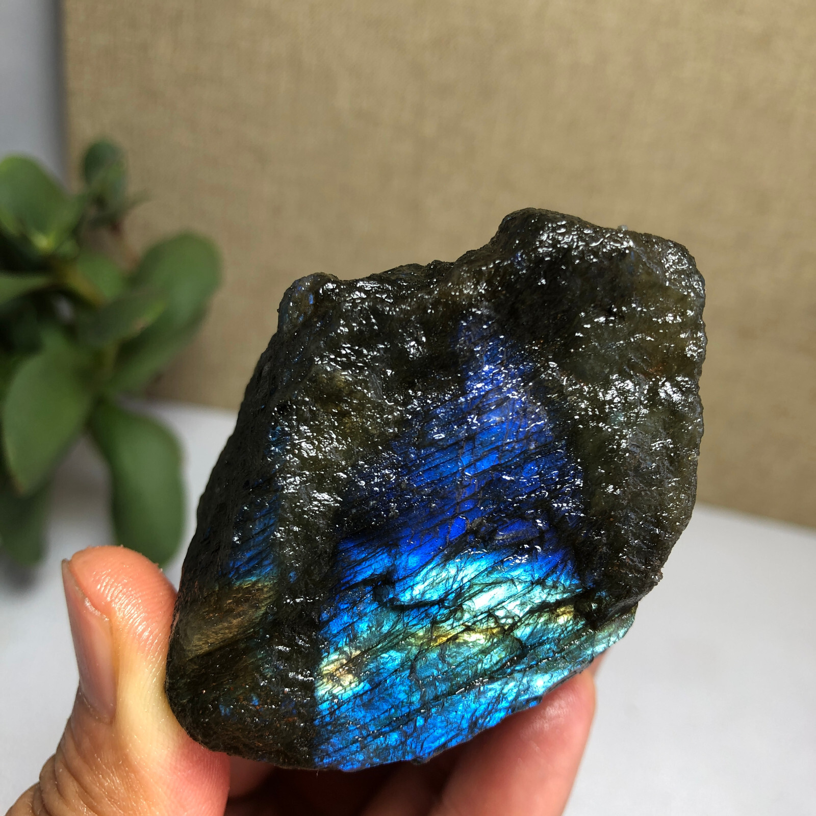 52mm Natural Labradorite Crystal gemstone rough original Specimen 159g g6790