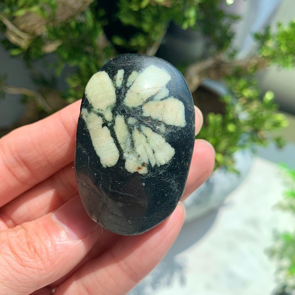 3pc 50-100G Crystal Natural Peony Stone Palm Stone Polished Good Pattern Decor