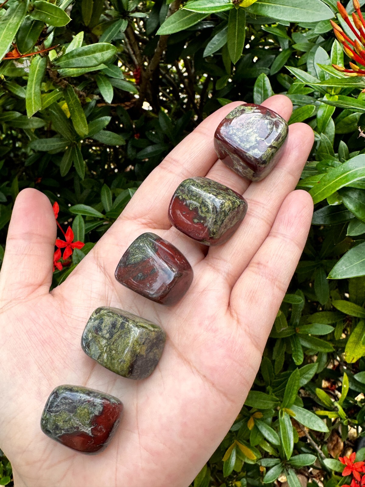 Grade A++Dragon Blood Jasper Tumbled Stones 0.75-1.25″, Pick How Many Stones
