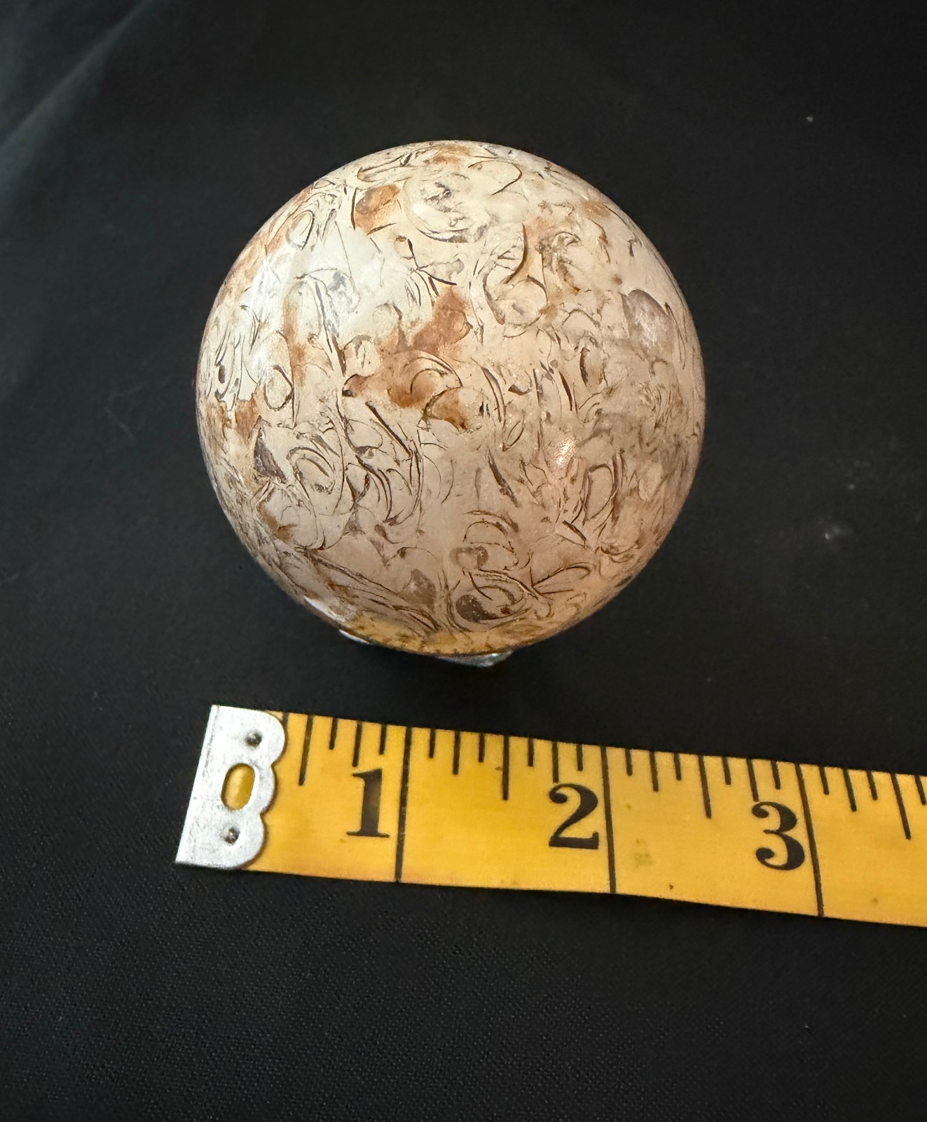 54mm Natural Fossil Shell Stone Sphere Polished Crystal Orb Display Ball