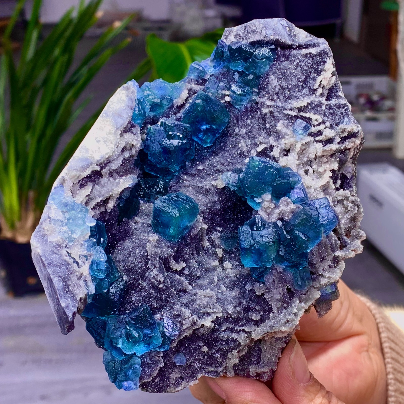 1.36LB Natural transparent purple cubic fluorite mineral sample Inner Mongolia