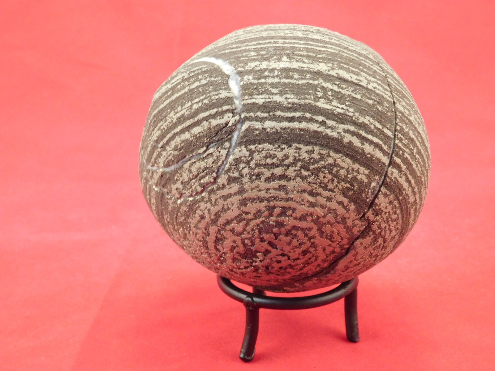 BIG! 100% Natural Ringed PYRITE Concretion From China! With Stand 1241gr