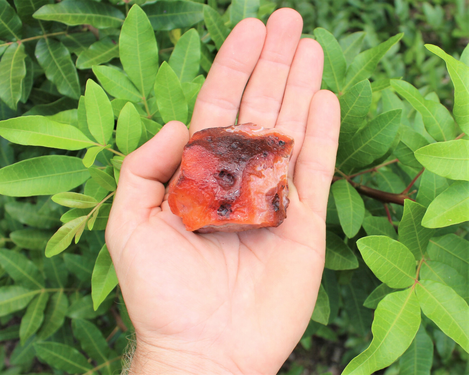 LARGE Rough Carnelain Chunks, 2″ – 3″: ‘A’ Grade, Raw Carnelian