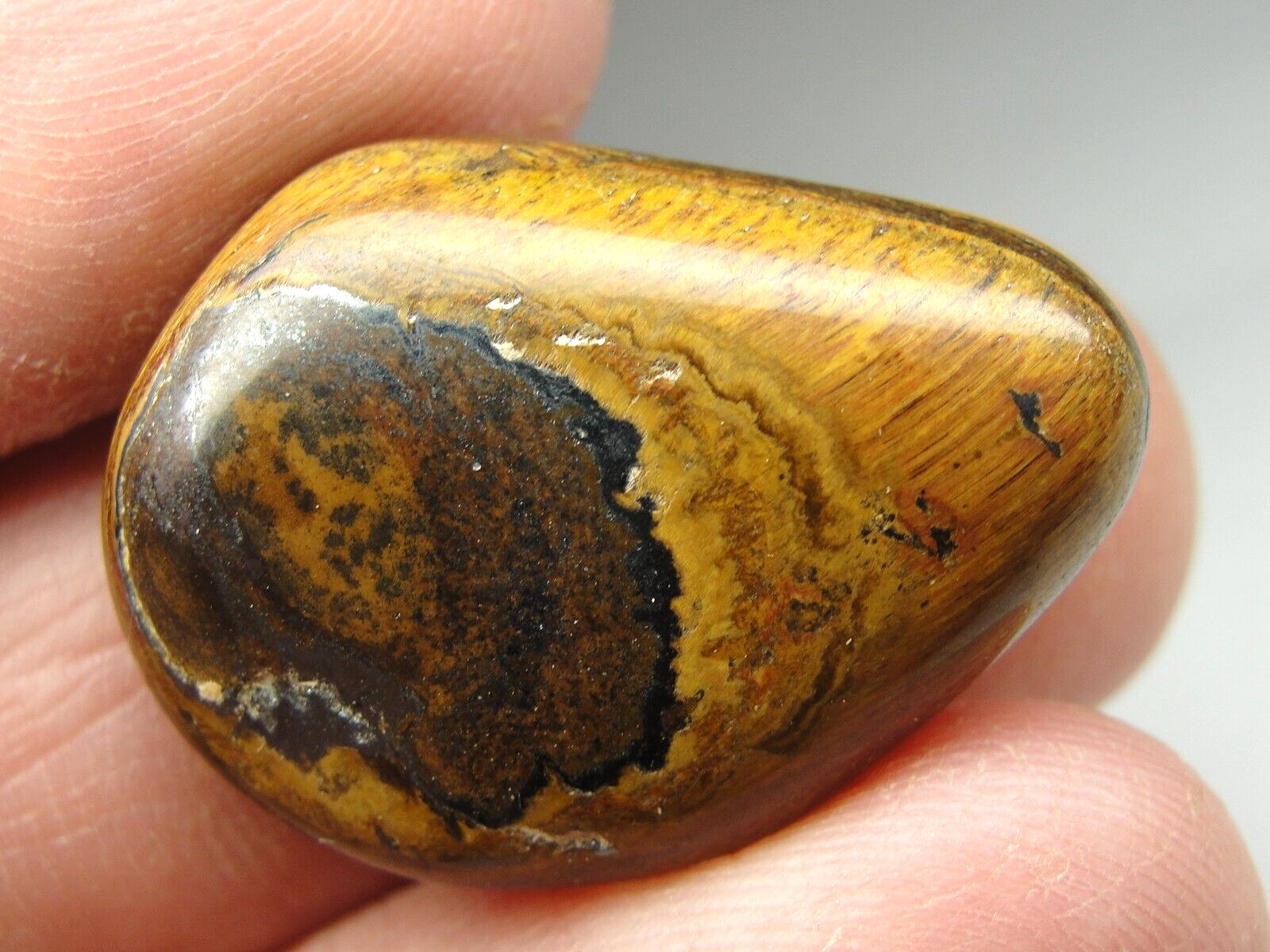 GOLD TIGER EYE – SOUTH AFRICA – HIGH POLISH – M-4586 – 9.73g EXCELLENT DETAILS