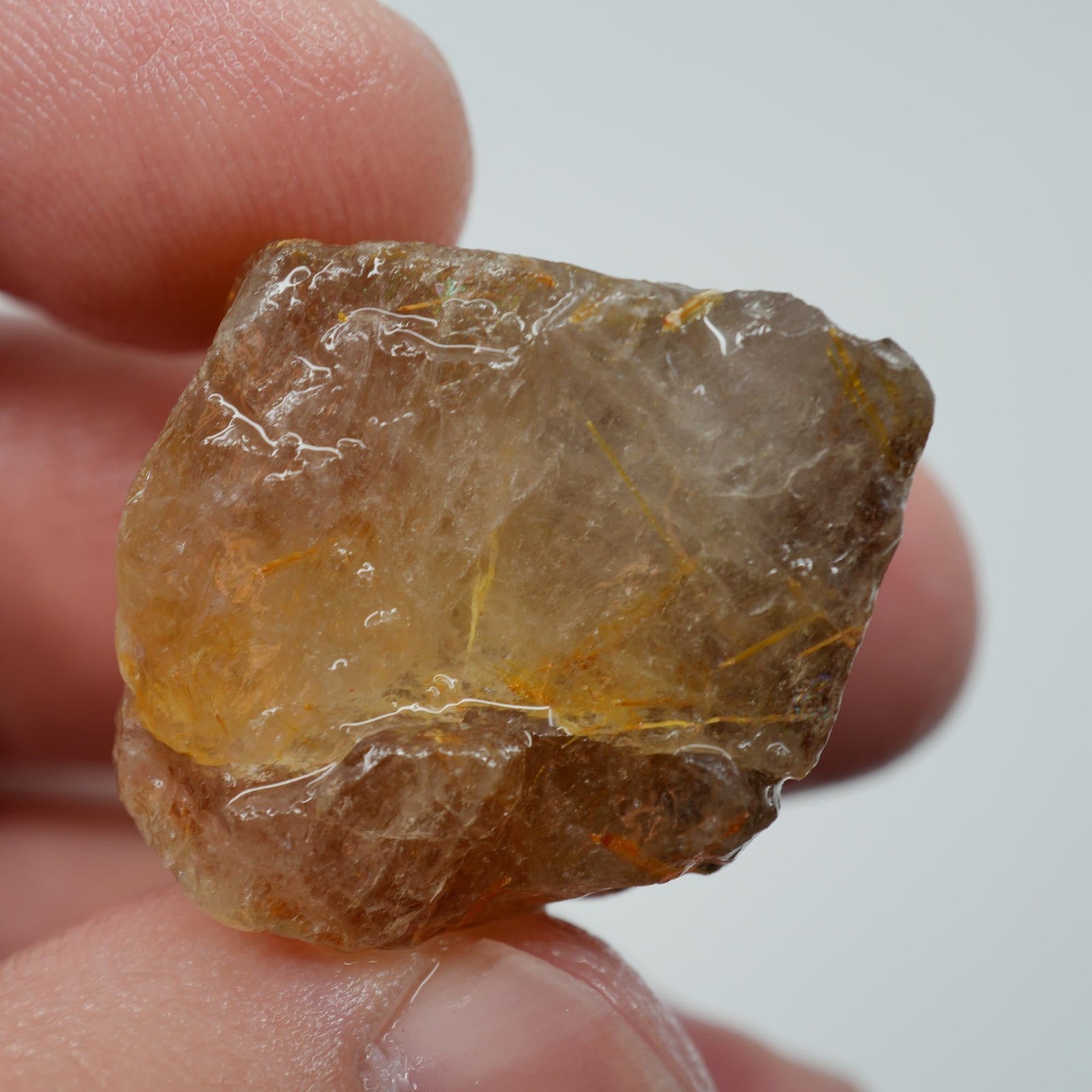 Rutilated Quartz – Golden Needle Quartz Crystal – Brazil Specimen