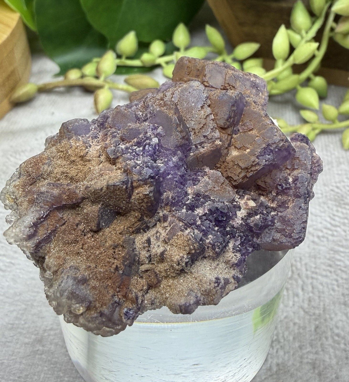 Crystal 58g Natural Coated Purple Window Cube Fluorite Specimen Mineral
