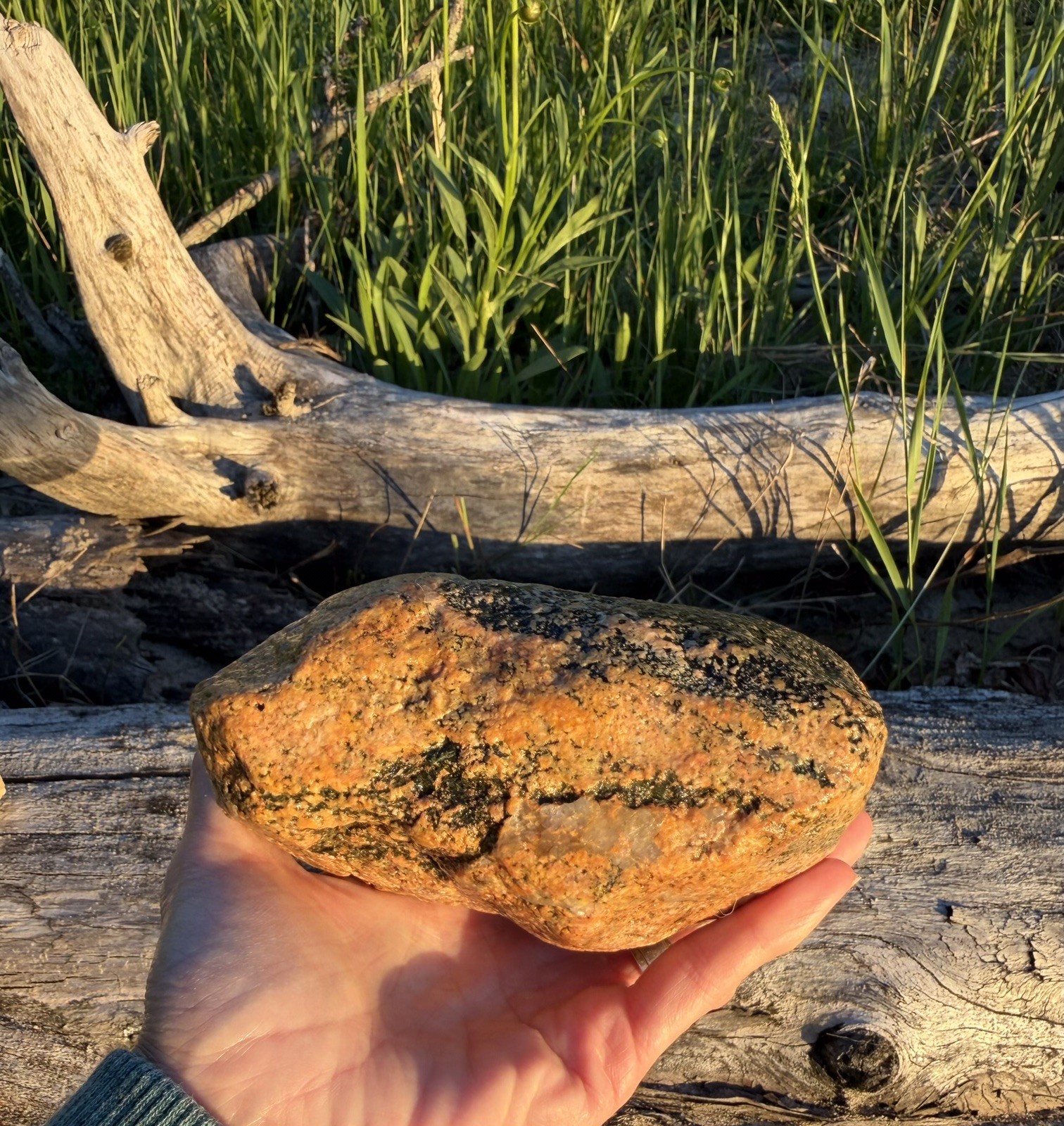 Natural Lake Michigan Rock Granite With Quartz LOOK! 👀 2lb+ READ CAREFULLY