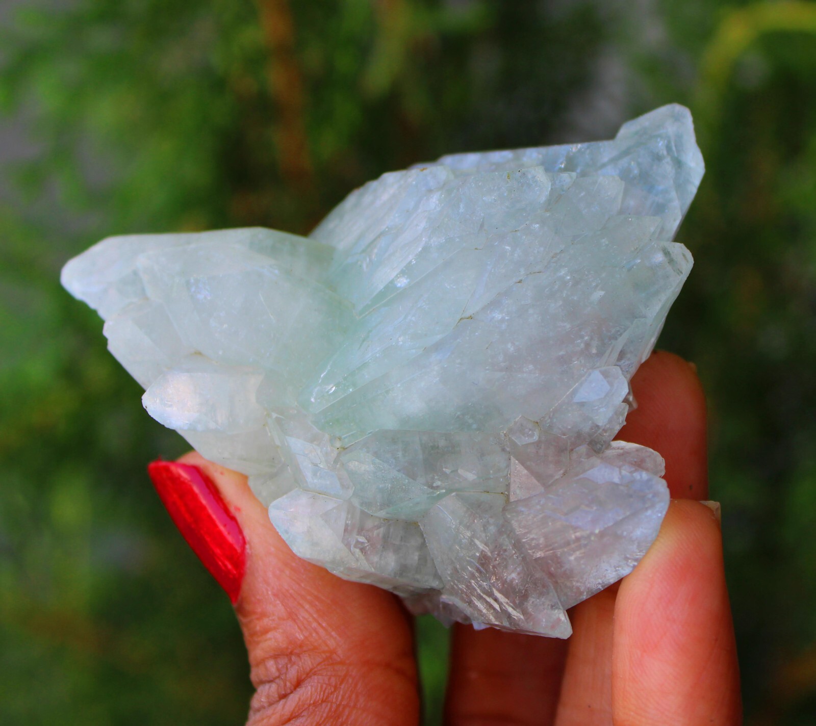 Green Apophyllite Crystals Minerals Specimen