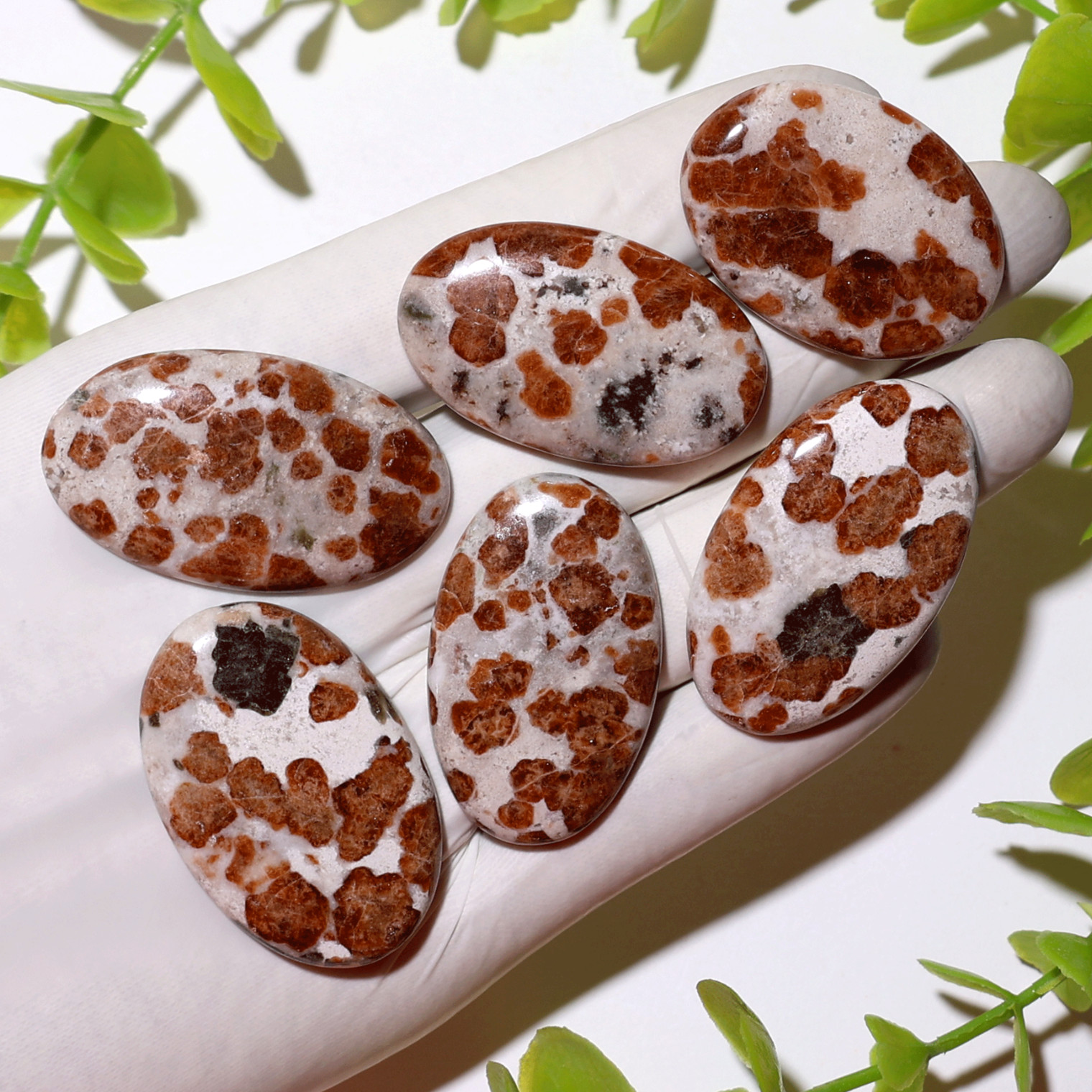 Fiery Blossoms – 6 PC Garnet In Wollastonite Crystals Set – Vitality & Strength