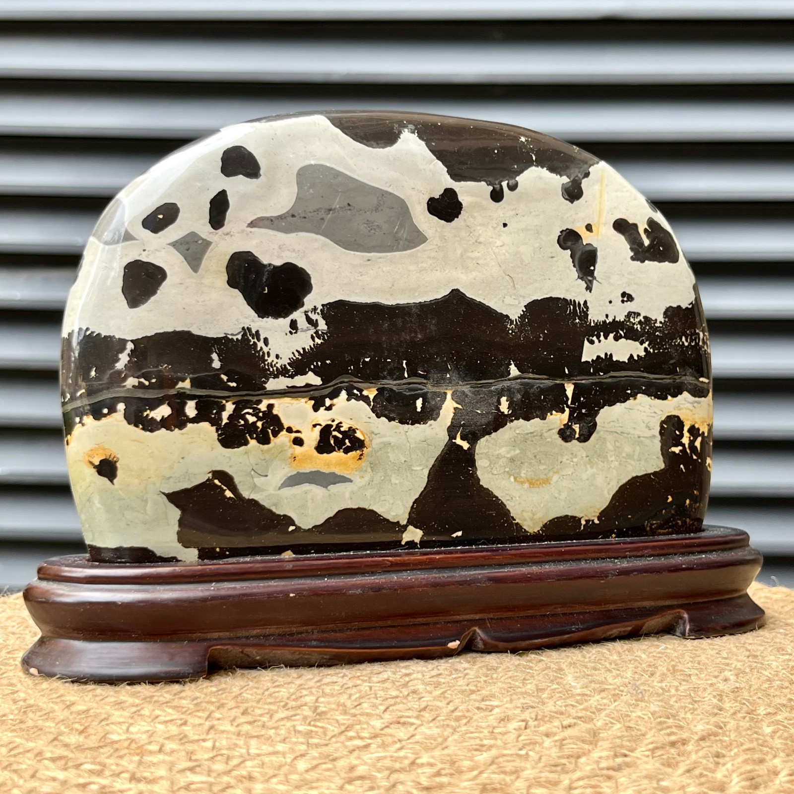 2.5 lb Scenic Stone Natural Pattern Polished Display Art Wood Base
