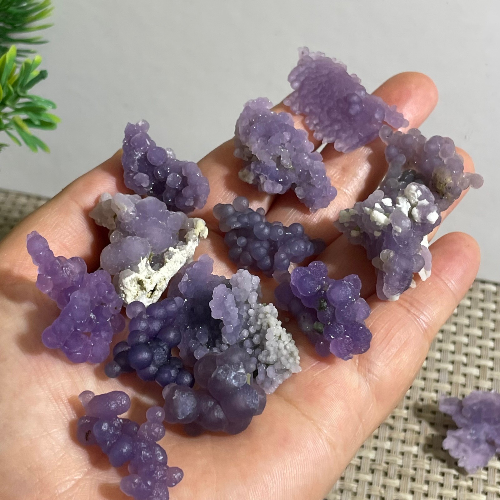 71g Purple stone, grape agate, quartz crystal, granular mineral 12pcs