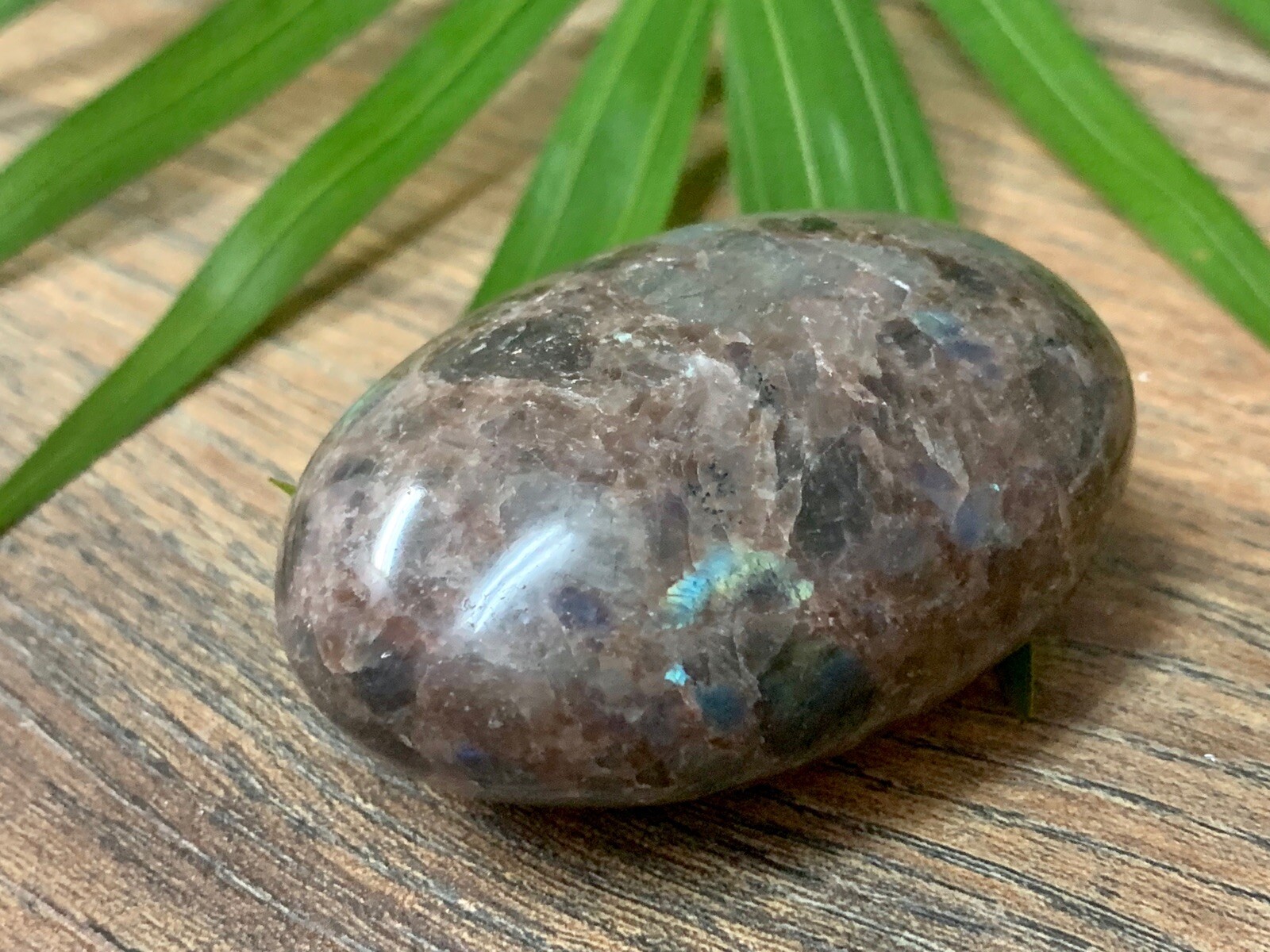 Galaxy Palm Stone Large Soap Stone Flat Therapy Meditation Specimen Reiki Cha