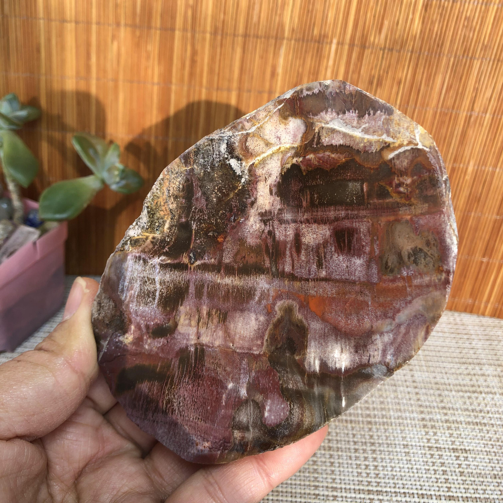 109mm natural Beautiful Petrified Wood Crystal Slice mineral specimen 341g A4860