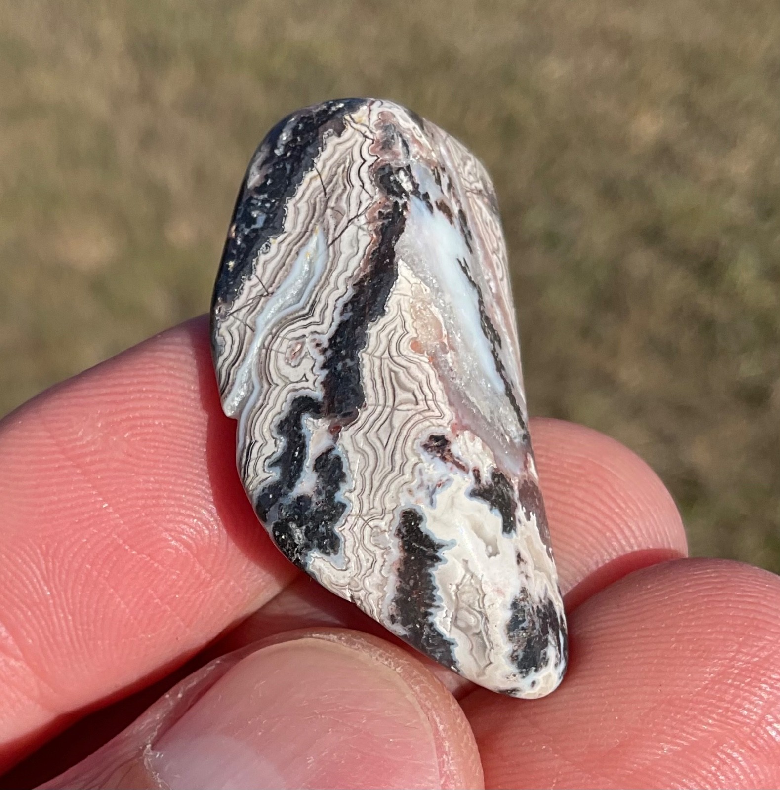 Polished Crazy Lace Agate Cabochon Preform Lapidary Gemstone High Grade