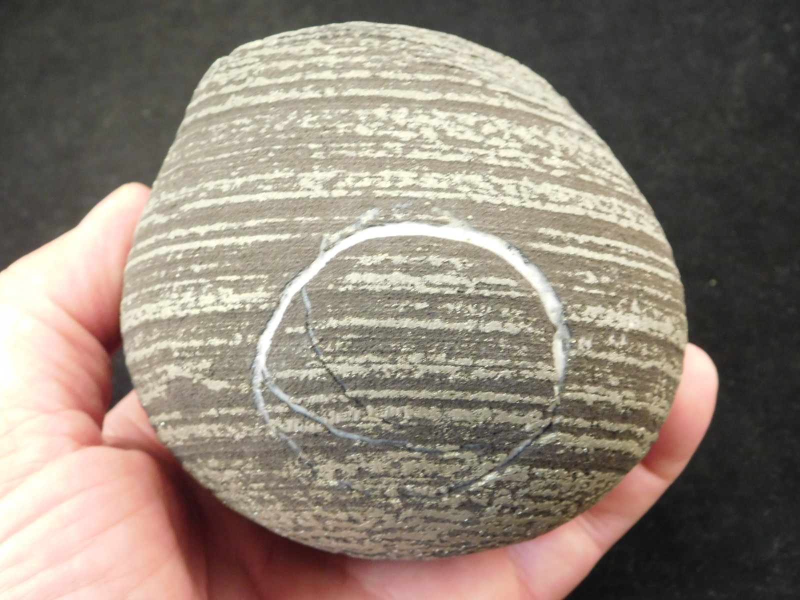 BIG! 100% Natural Ringed PYRITE Concretion From China! With Stand 1241gr