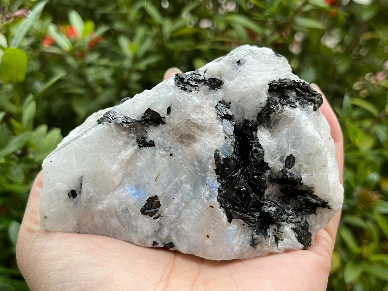 EX Large Rainbow Moonstone Raw Natural Stone,2.5-10 Inch Rough Rainbow Moonstone