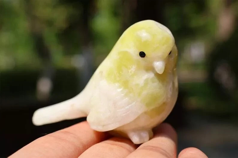 2.4” Natural Lantian jade Quartz Carved Bird Skull Crystal Reiki Decor Gift 1pc