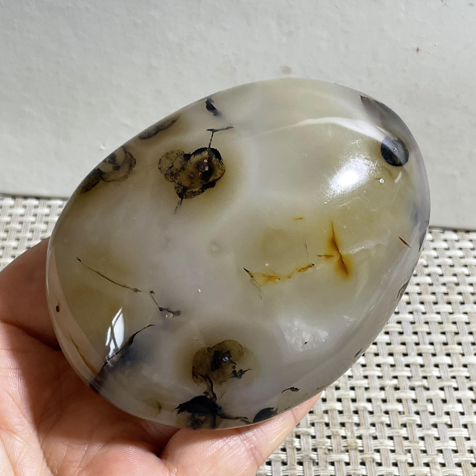 356g Natural Polished Aquatic Plants Agate Crystal Madagascar