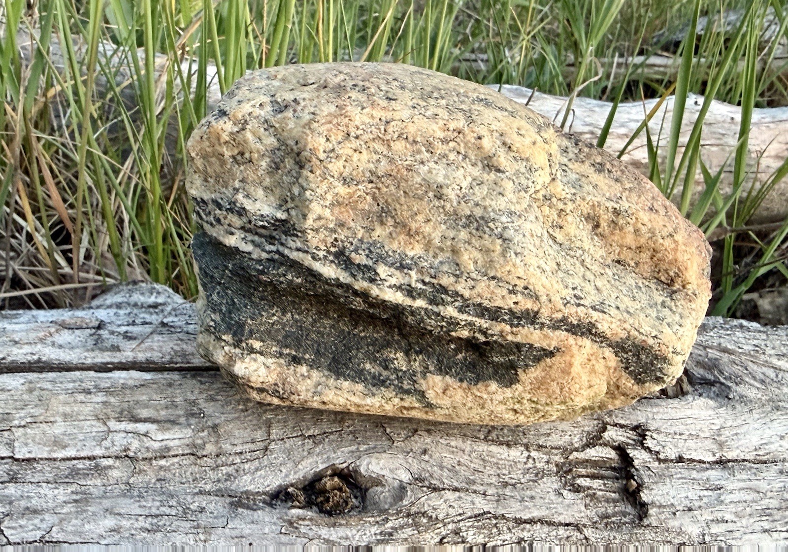 Natural Lake Michigan Rock Granite Large LOOK! 👀 3lb+ READ CAREFULLY
