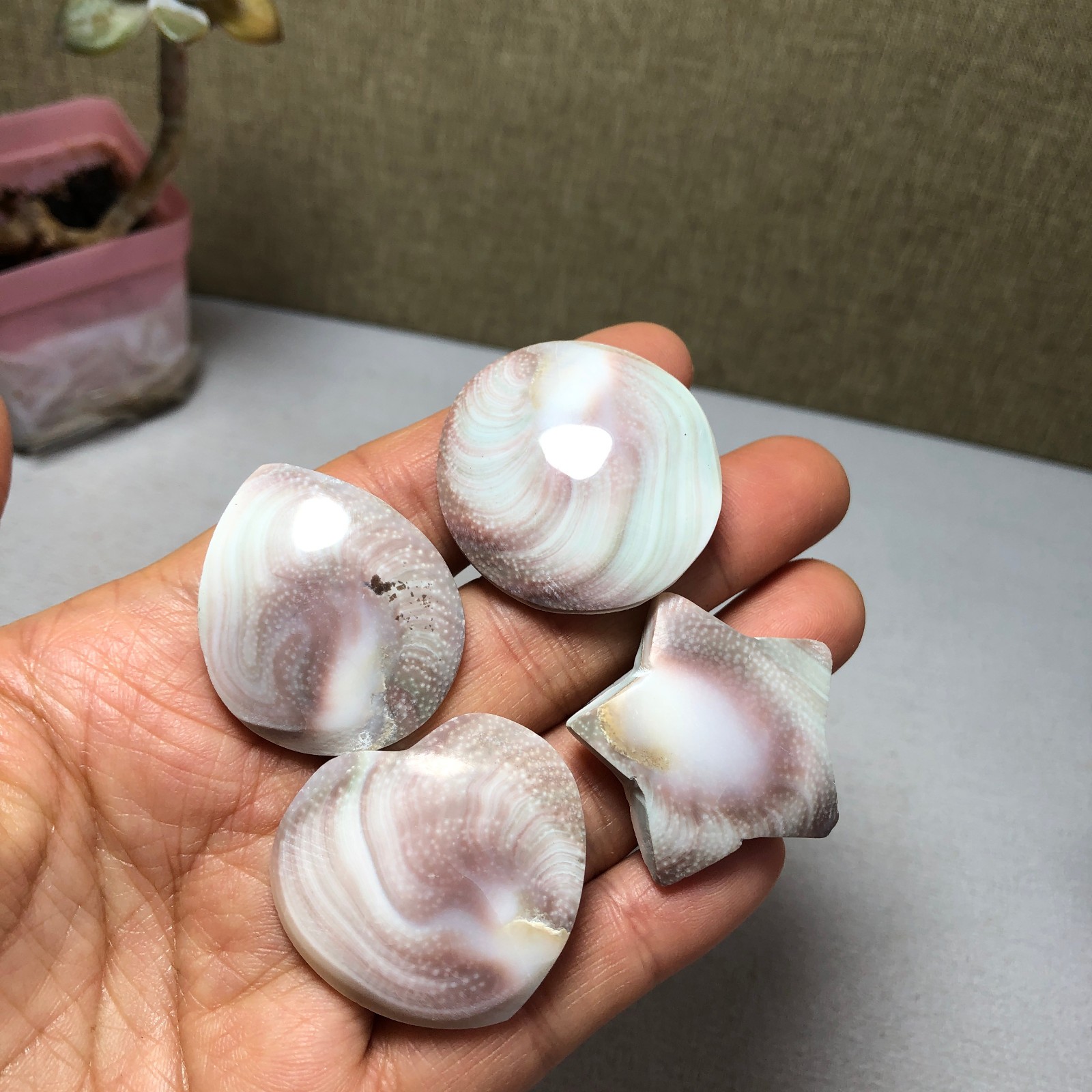 4pcs Rare sun shell Reiki Shiva Eye ocean semi-precious stone 75g A2758