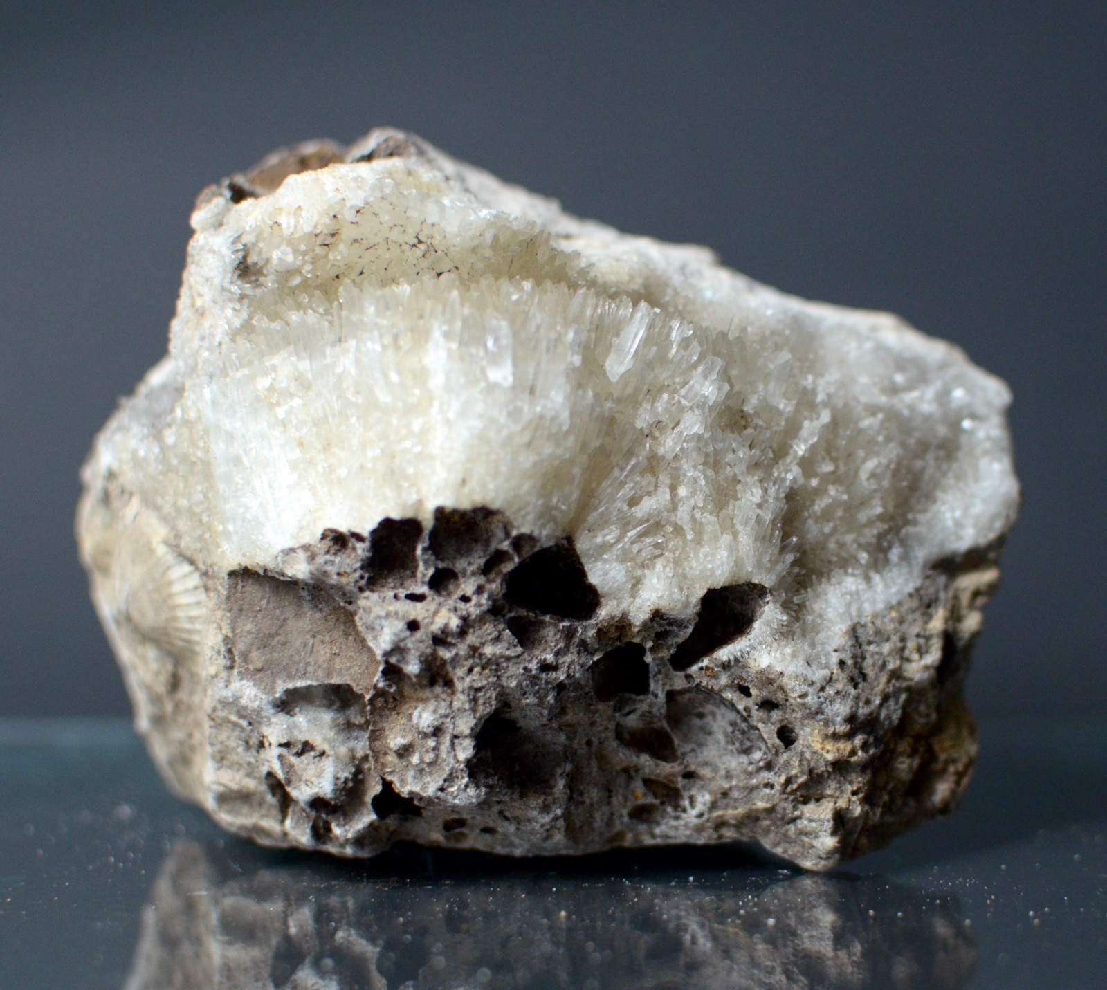 Fluorescent Aragonite Needle Spray in Fossil Matrix | Crystal River, Florida