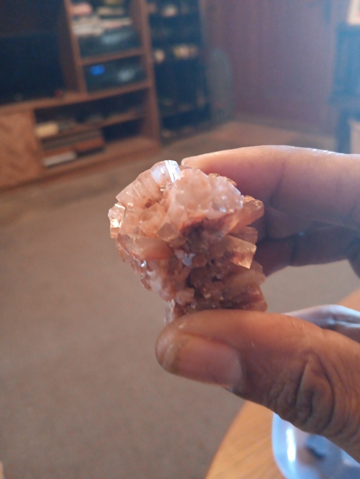 Crystal Allies Natural Specimens Amethyst Crystal Cluster