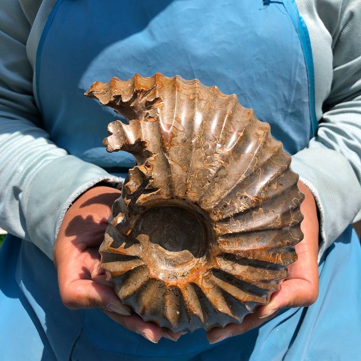 4.04LB Natural Beautiful Ammonite Fossil Conch Crystal Specimen Healing 5395