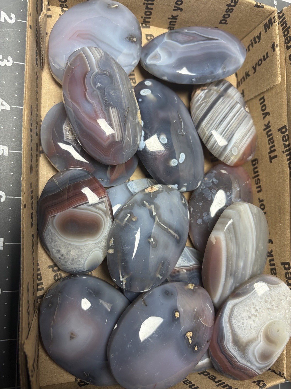 Mozambique Swazi Agate Palm Stones Banding Lot 3lbs