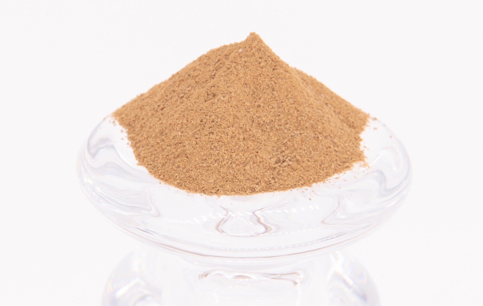Triceratops Bone – 100% Pure & Natural