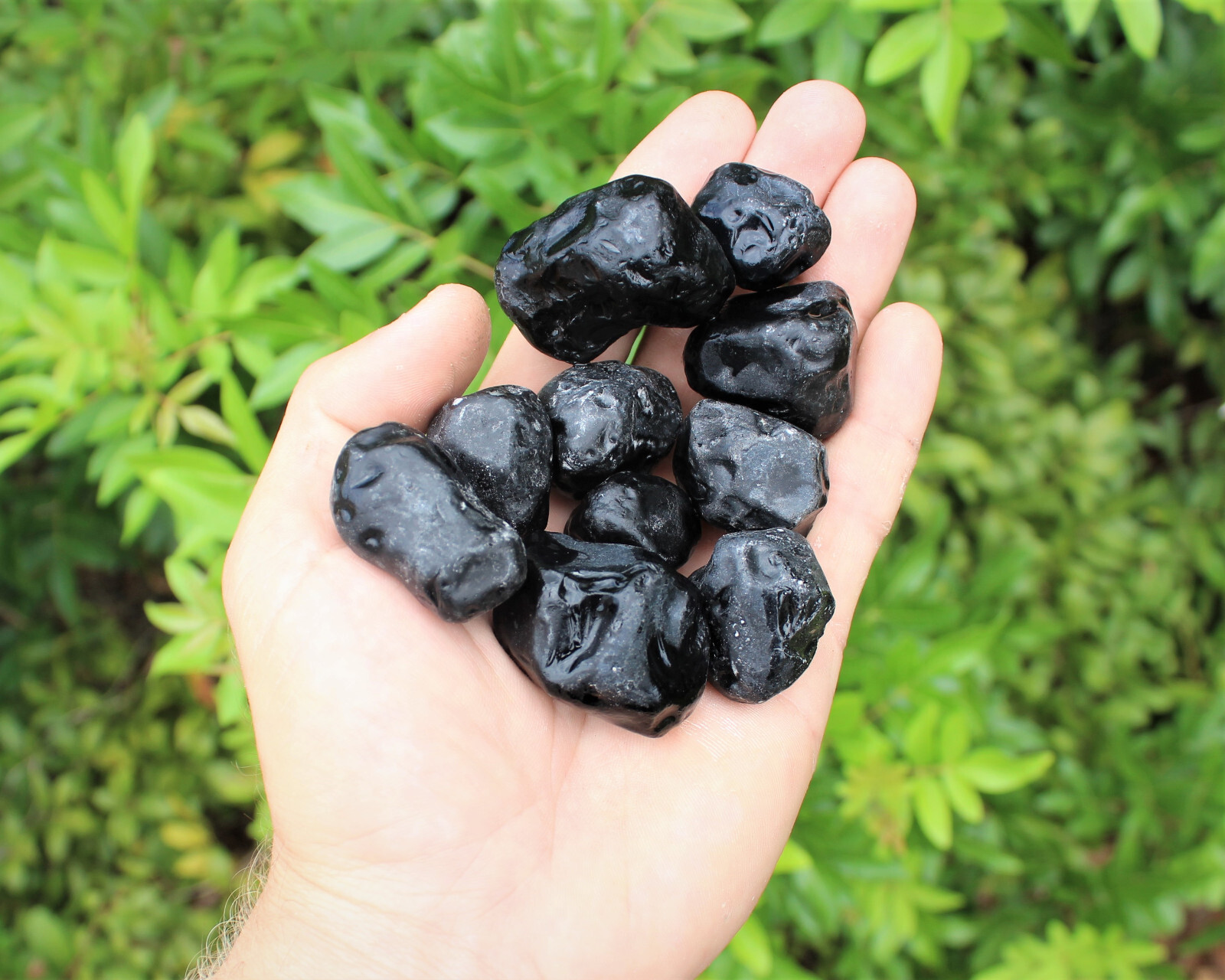 Rough Apache Tears Natural Stones – 10 Piece Lot