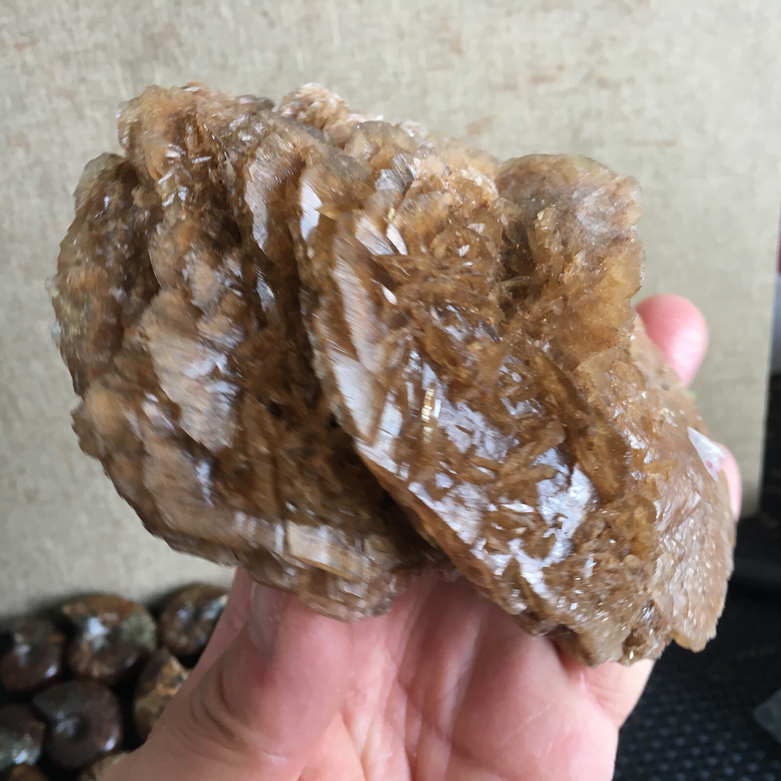 449g Natural Crystal Stone Desert Rose Specimen Decoration B1562