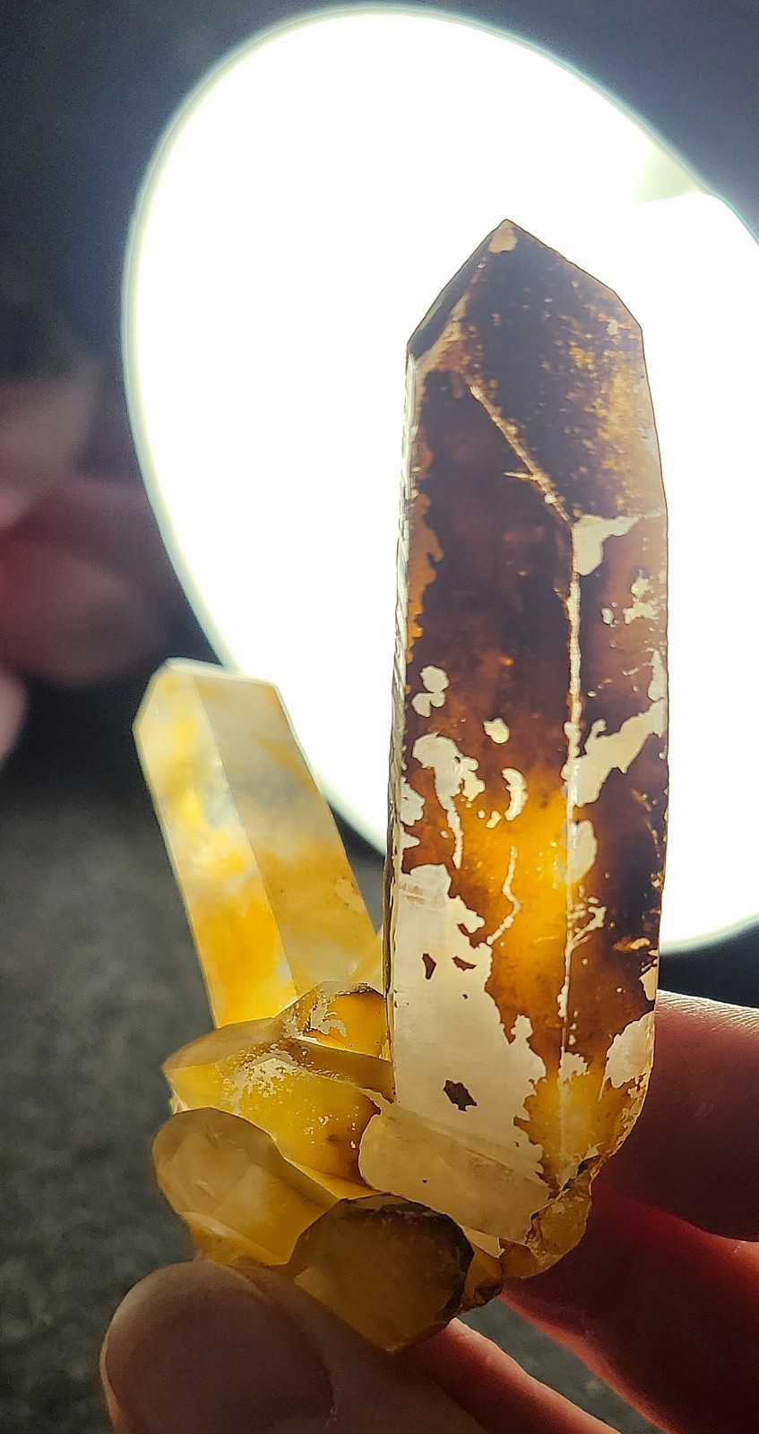 3.4″ 76g Pretty V Shape Golden Healer Quartz Crystal Cluster Stone Specimen